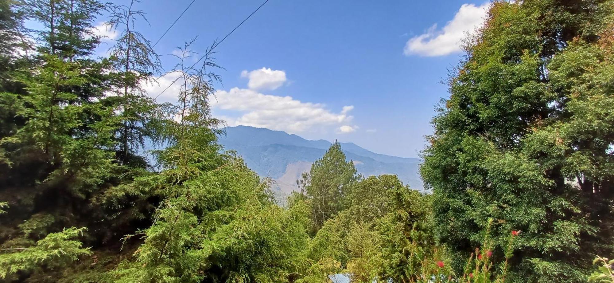 Cabanas Pacifico San Jose del Pacifico Εξωτερικό φωτογραφία